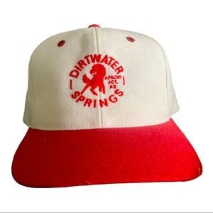 Dirt water springs Vtg SnapBack